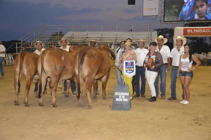 Feria Nacional Cebú Valledupar 2015 — Hacienda Monterrey, foto 2