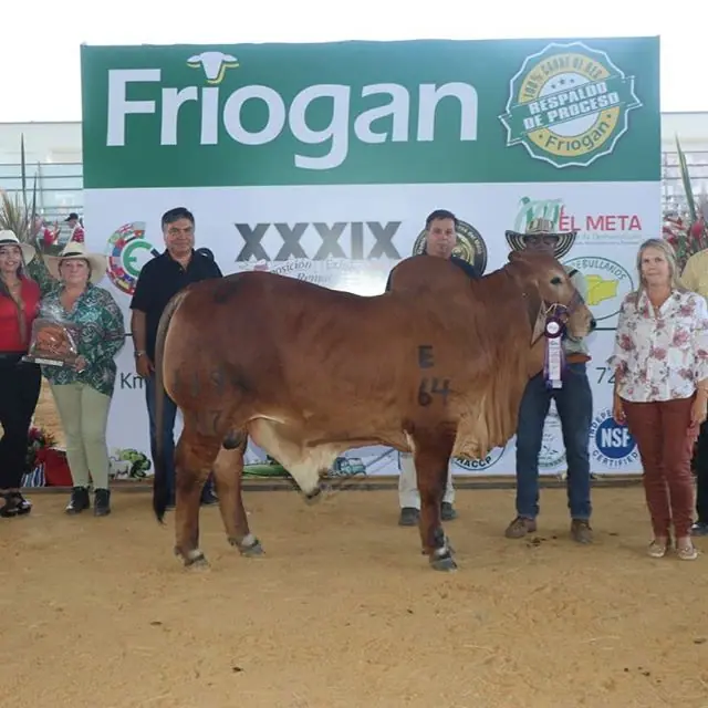Expomalocas Villavicencio 2019 — Hacienda Monterrey, foto 13