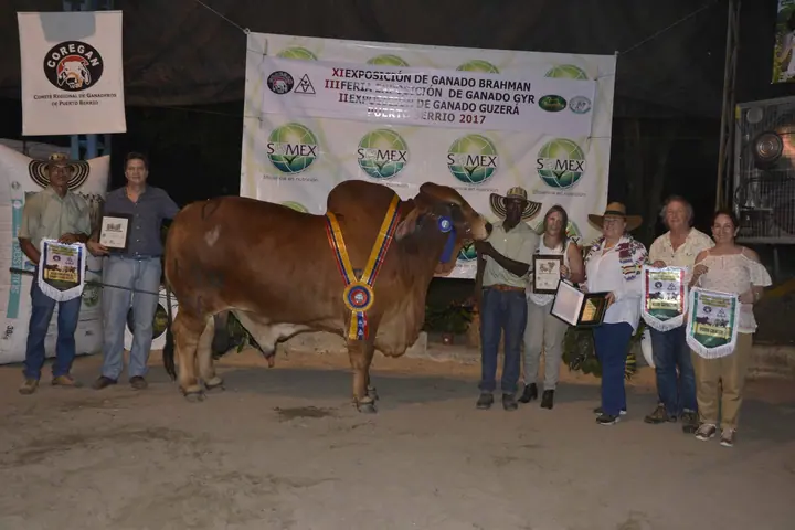 Feria Puerto Berrío (mayo) 2017 — Hacienda Monterrey, foto 3
