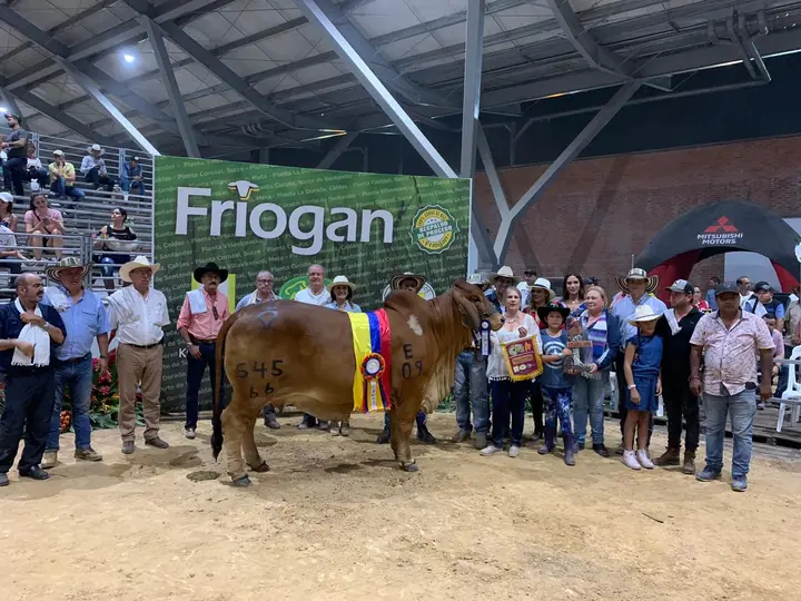 Gran campeona y campeona Senior 545/66 Monterrey Smoking Helena