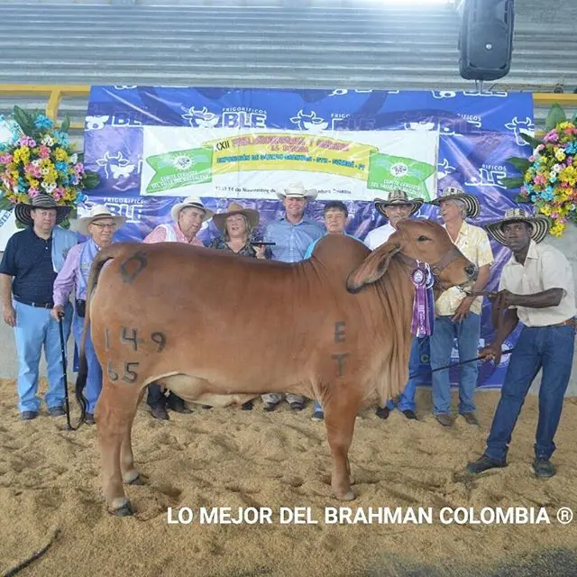 Feria La Dorada — Hacienda Monterrey, foto 9