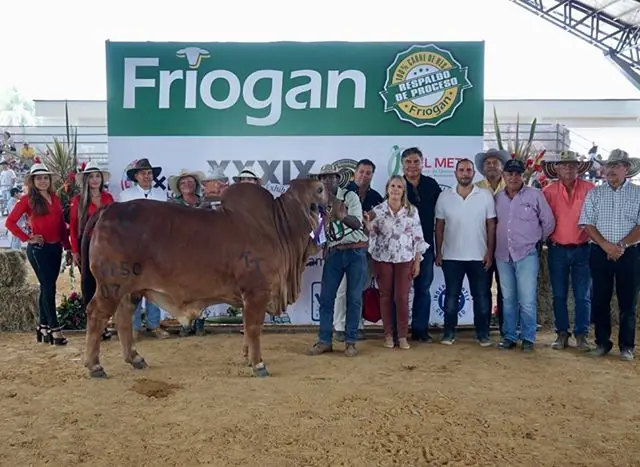 Expomalocas Villavicencio 2019 — Hacienda Monterrey, foto 11