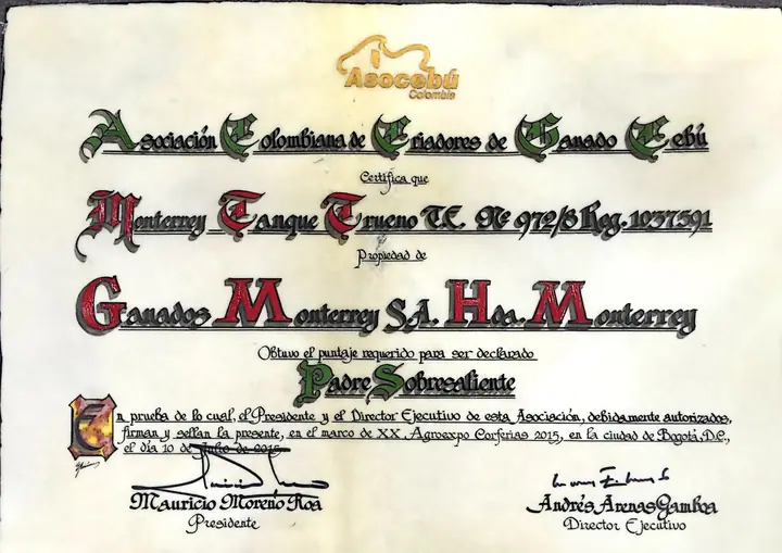 Pergamino de Padre Sobresaliente de Monterrey Tanque Trueno 972/8