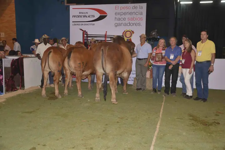 Ganado Brahman de Hacienda Monterrey — foto 42