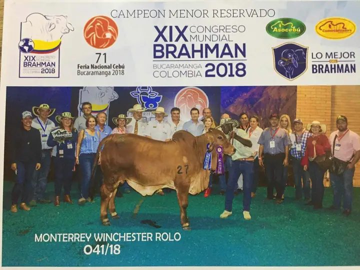 Mundial Bucaramanga (noviembre) 2018 — Hacienda Monterrey, foto 9
