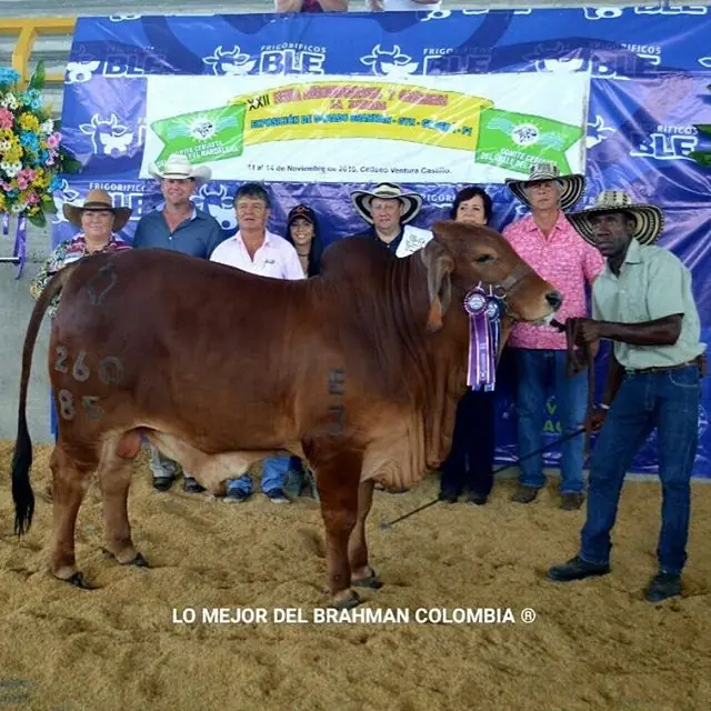 Feria La Dorada — Hacienda Monterrey, foto 14